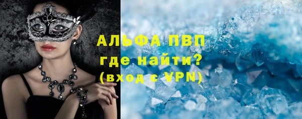 индика Алексин