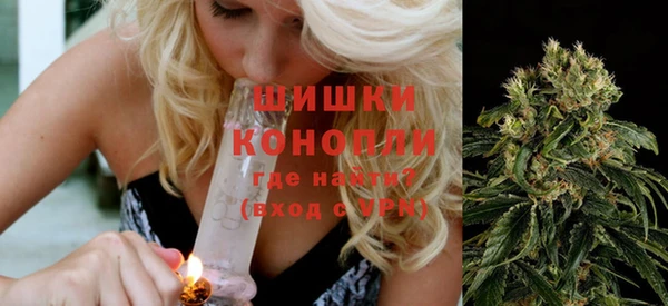 индика Алексин