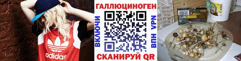 магазин    Джанкой  Псилоцибиновые грибы MAGIC MUSHROOMS 