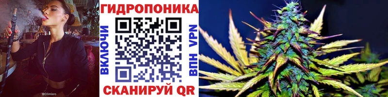 продажа наркотиков Джанкой Шишки марихуана OG Kush